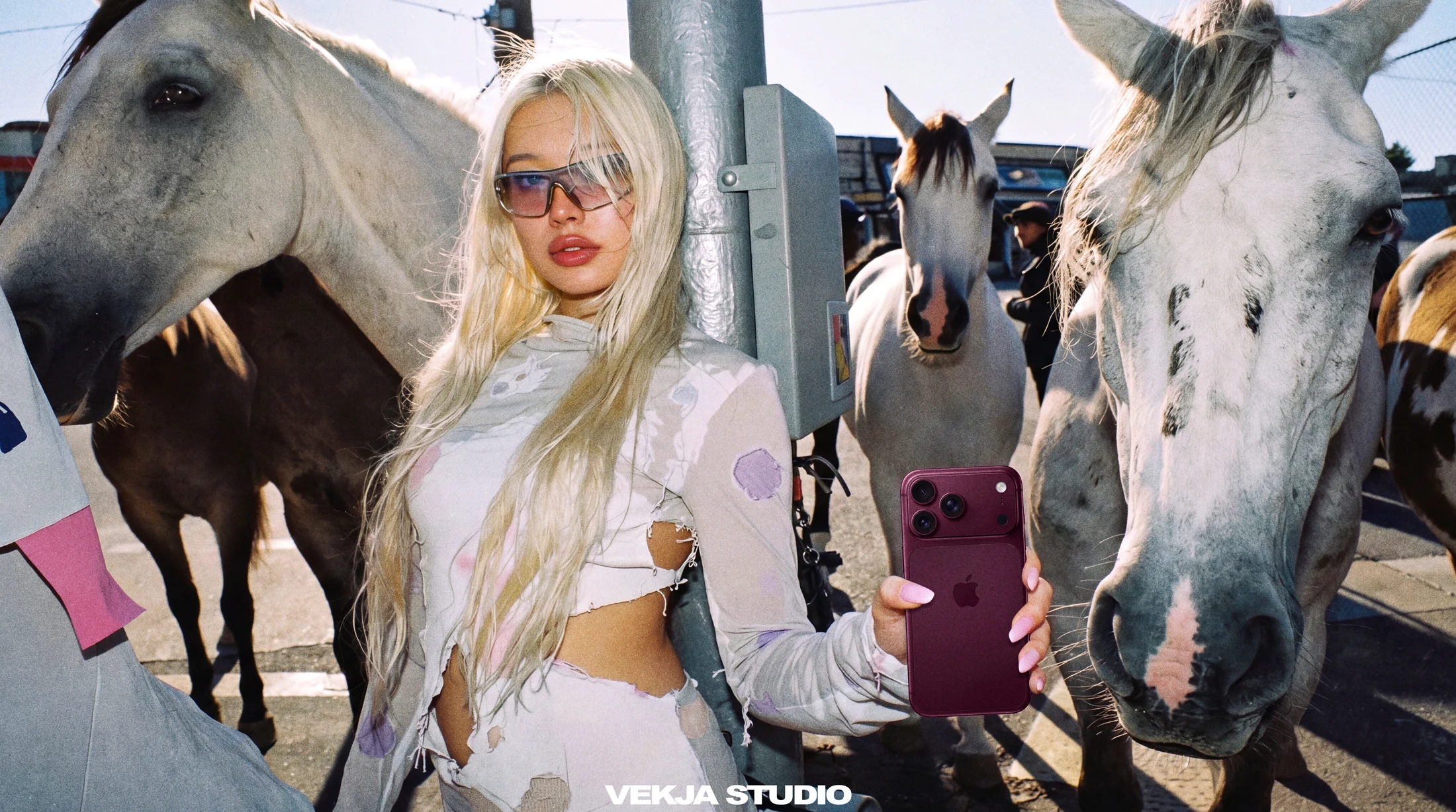 Woman holding a purple phone between horses