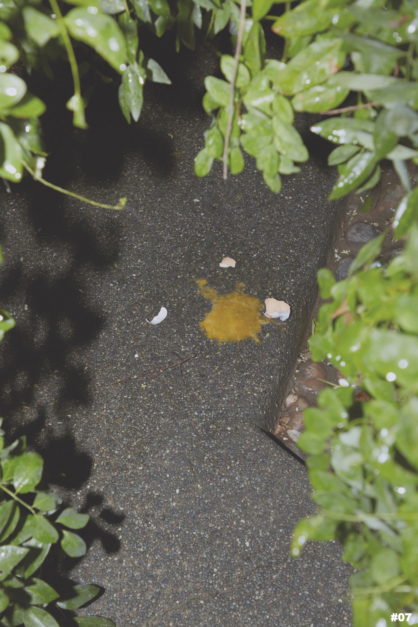 ProductionGarden — 03